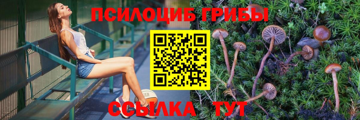 Ипатово  Псилоцибиновые грибы мицелий  Вход с VPN  Псилоцибиновые грибы GOLDEN TEACHER 