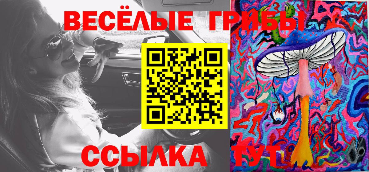 Псилоцибиновые грибы GOLDEN TEACHER Ипатово